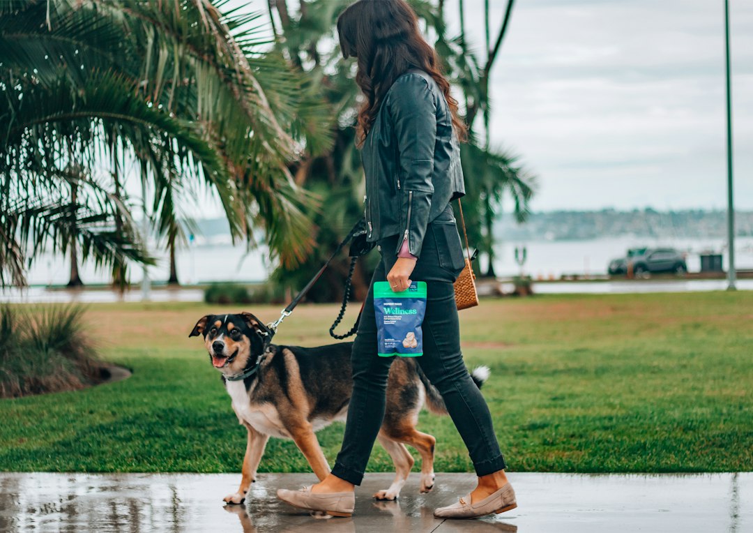 A person outdoors with a dog; illustrative image rather than a case-study participant.