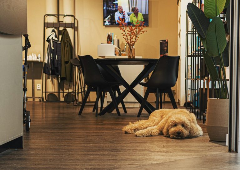 A relaxed dog lying on the floor at home