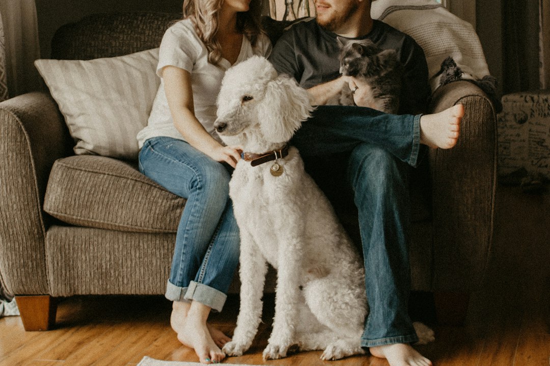 A dog sitting with two people on a sofa